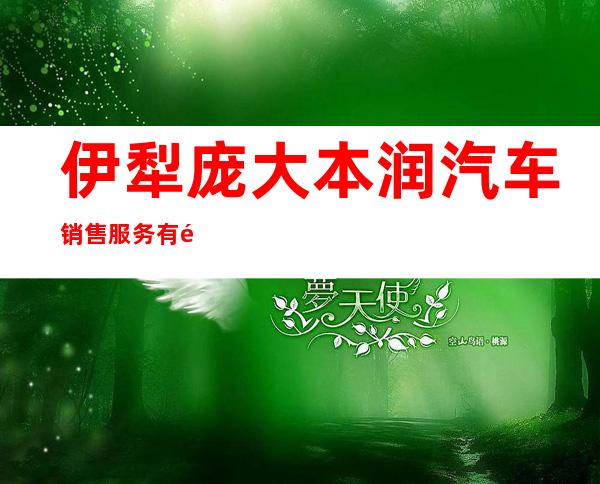 伊犁庞大本润汽车销售服务有限公司