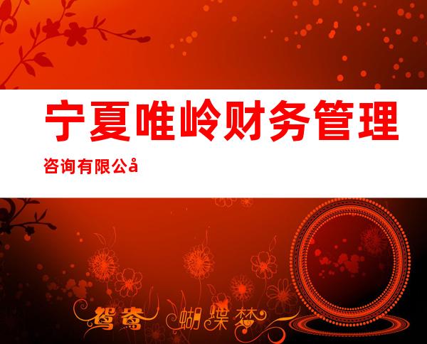 宁夏唯岭财务管理咨询有限公司