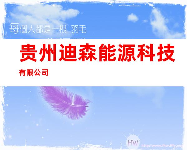 贵州迪森能源科技有限公司